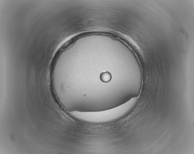 X0000115031364200911161458