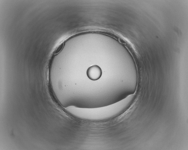 X0000115031365200911161458