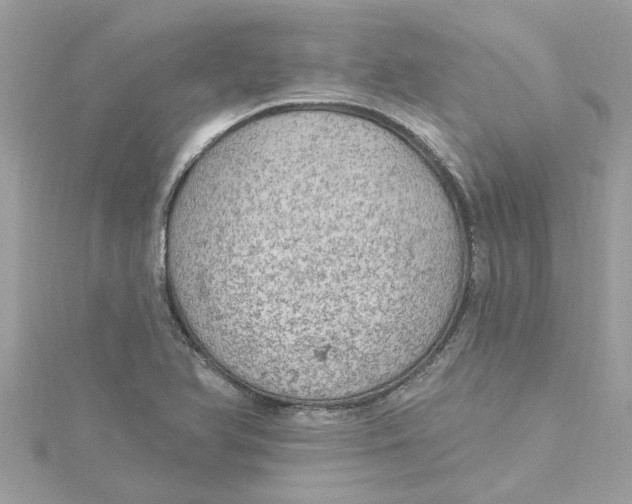 X0000115031366200911161458