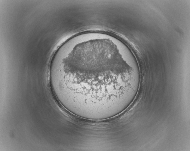 X0000115031367200911161458