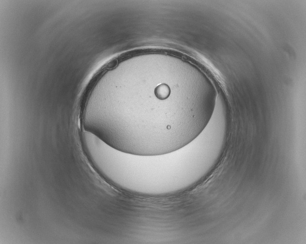 X0000115031368200911161458