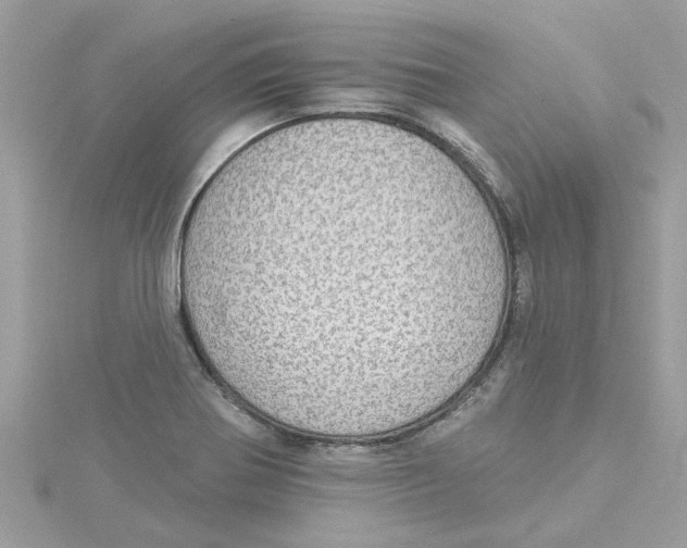 X0000115031370200911161458