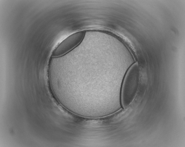 X0000115031373200911161458