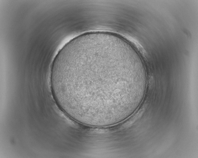 X0000115031374200911161458