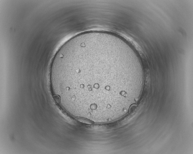 X0000115031375200911161458