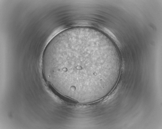 X0000115031378200911161458