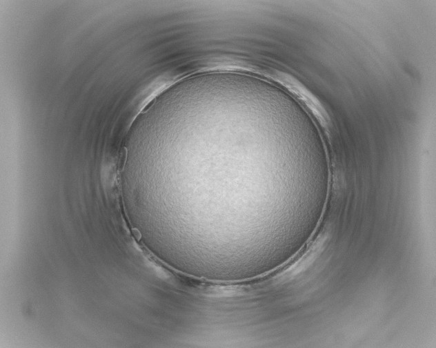 X0000115031385200911161458