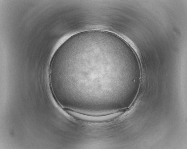 X0000115031389200911161458