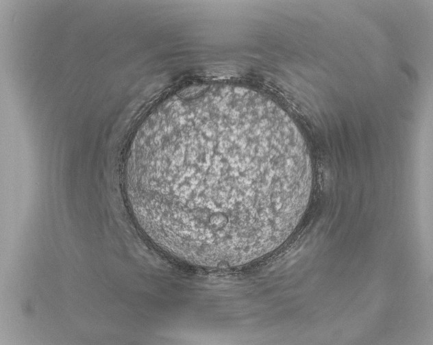 X0000115031393200911161457