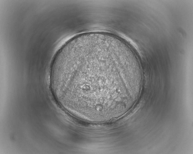 X0000115031415200911161458