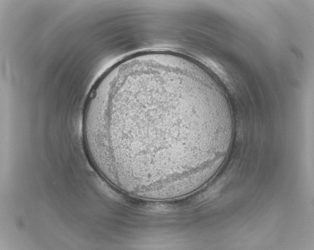 X0000115031420200911161458