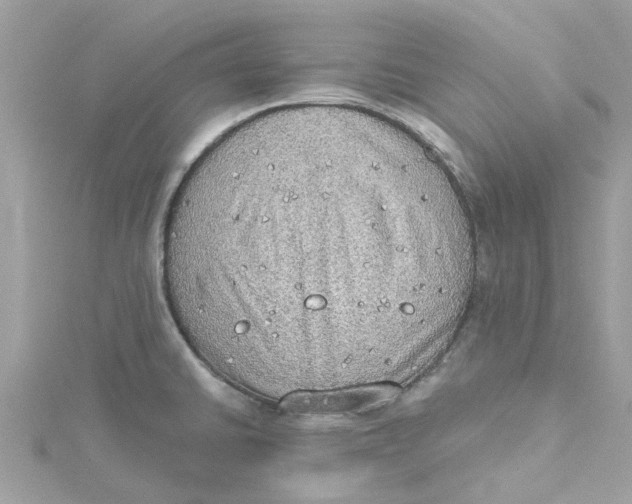 X0000115031430200911161458