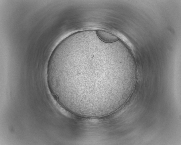 X0000115031431200911161458