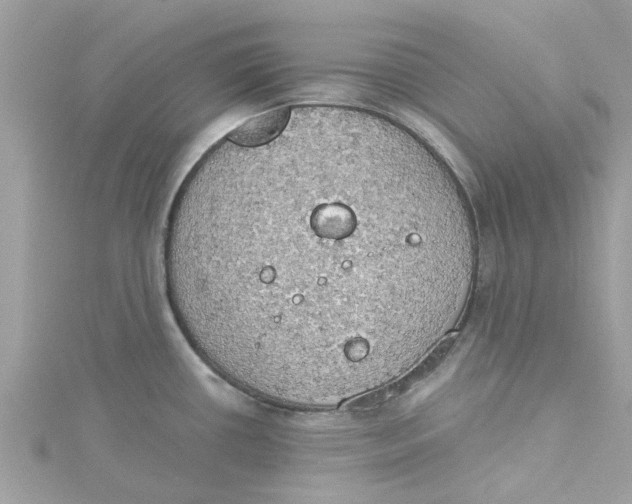 X0000115031434200911161458