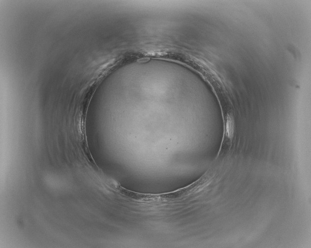 X0000115031444200911161457