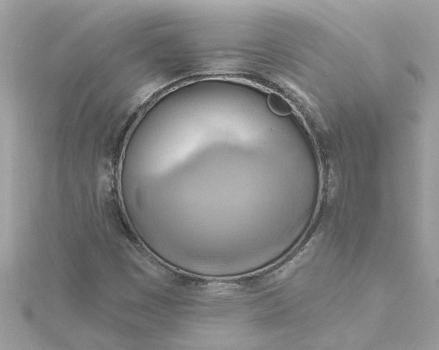X0000115031449200911161457