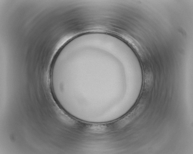 X0000115031466200911161457