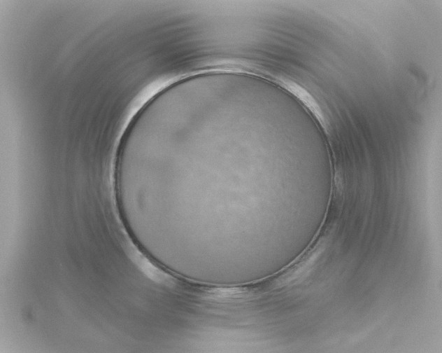 X0000115031482200911161457