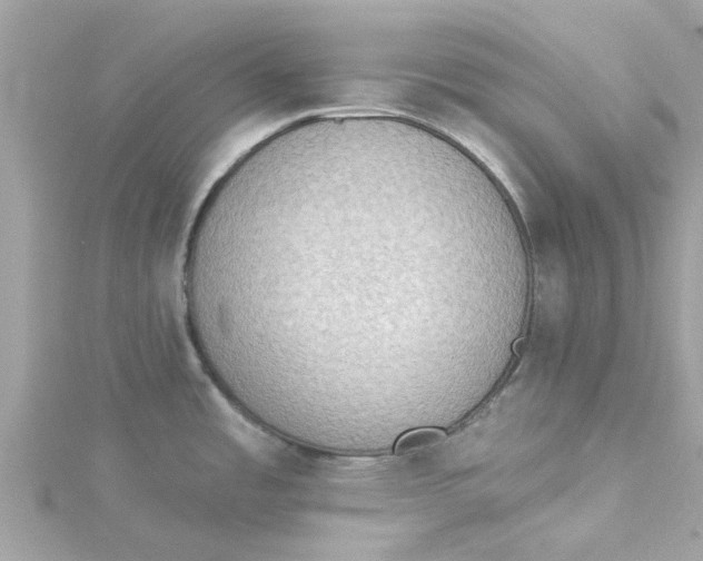 X0000115031485200911161457