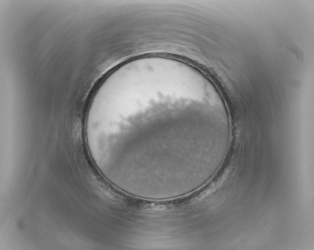 X0000115031505200911161456