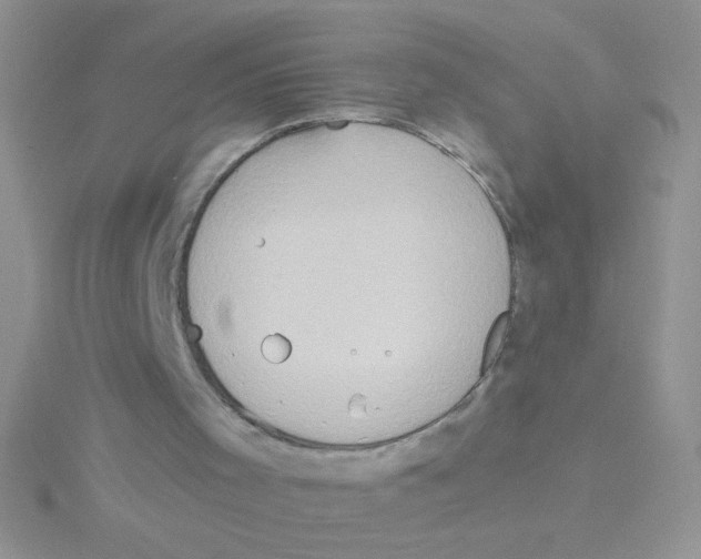 X0000115030001200911231122