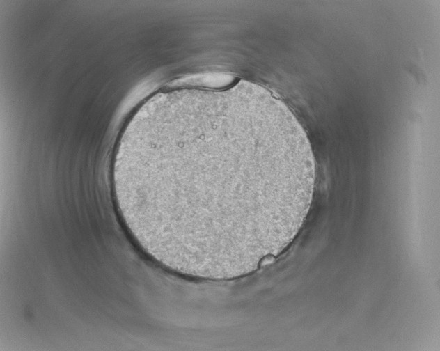 X0000115030004200911231122