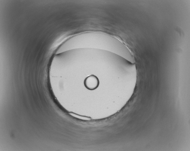 X0000115030005200911231122