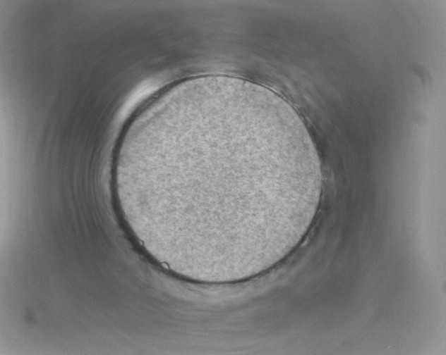 X0000115030006200911231122