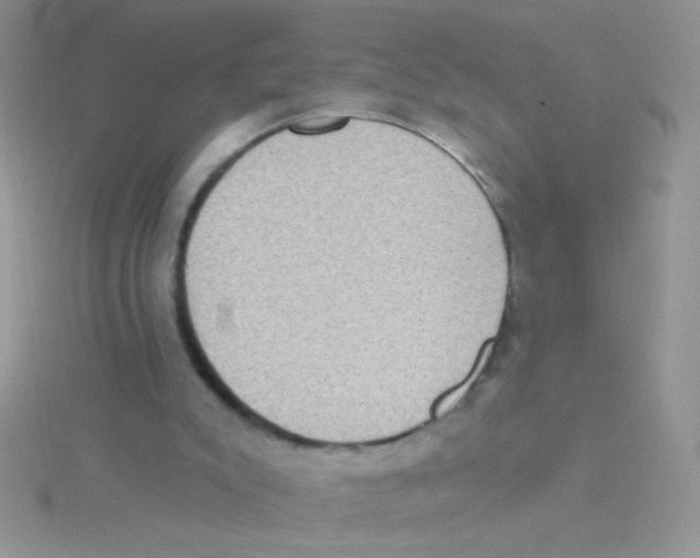 X0000115030007200911231122