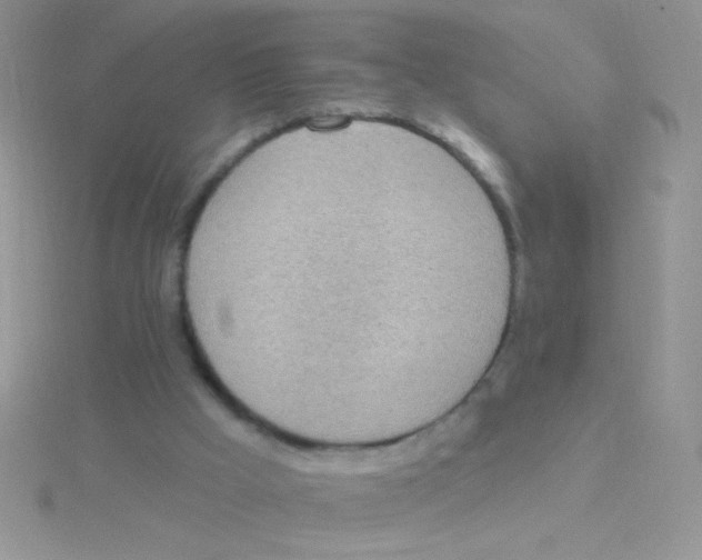 X0000115030009200911231122