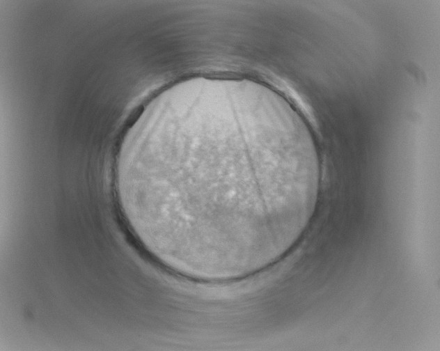 X0000115030010200911231122