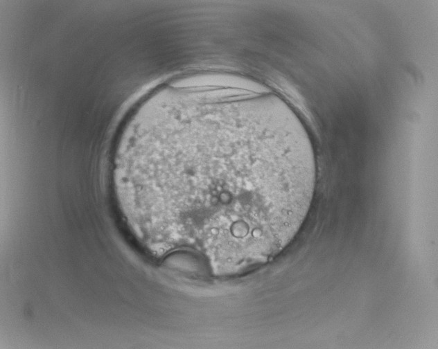 X0000115030012200911231121