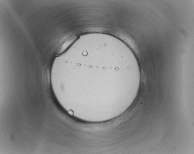 X0000115030013200911231121