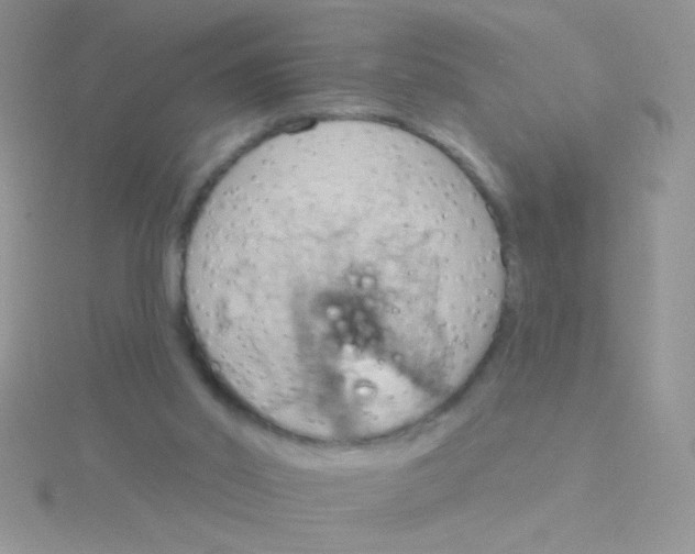 X0000115030014200911231121