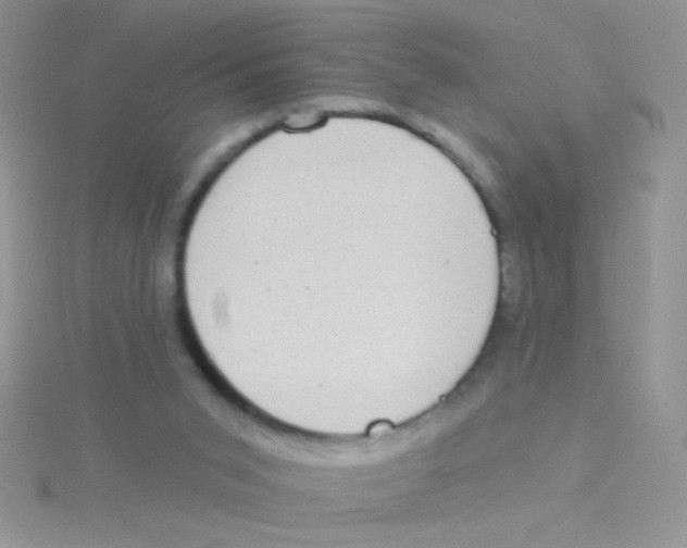 X0000115030015200911231121