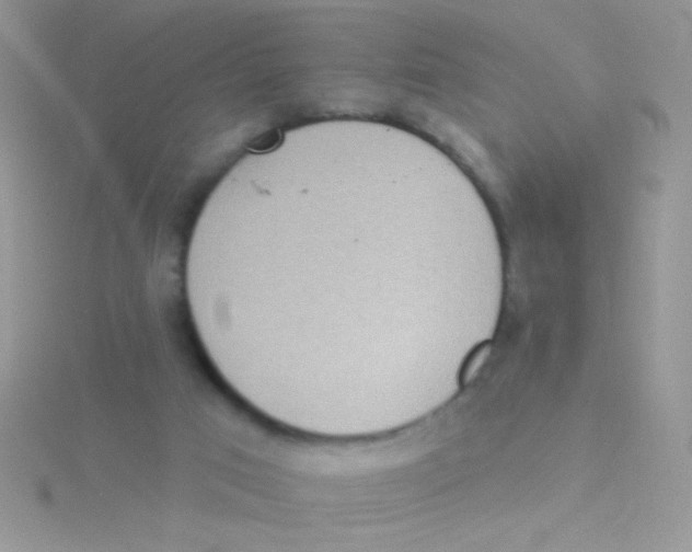 X0000115030017200911231121