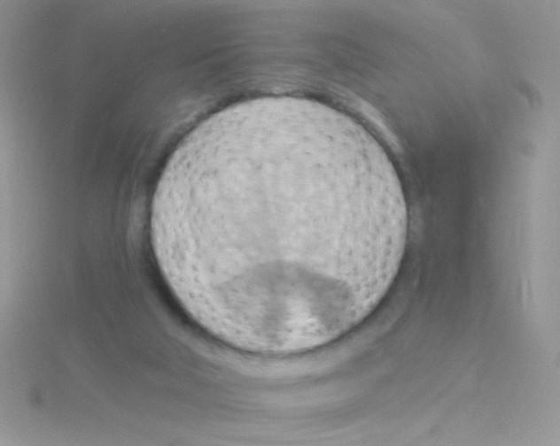 X0000115030018200911231121