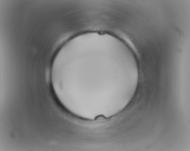 X0000115030019200911231121