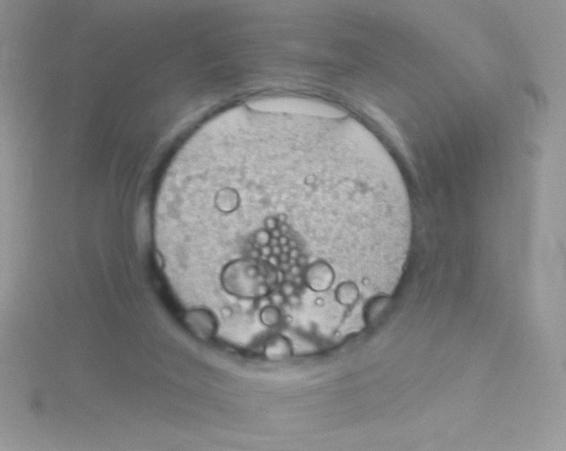 X0000115030020200911231121