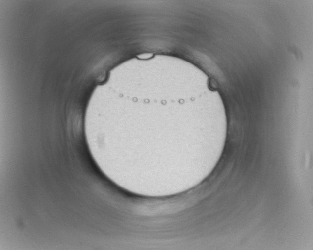 X0000115030021200911231121