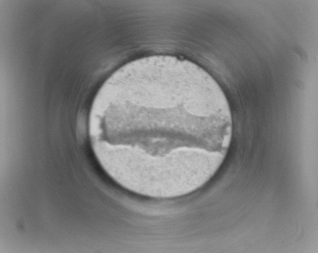 X0000115030028200911231121