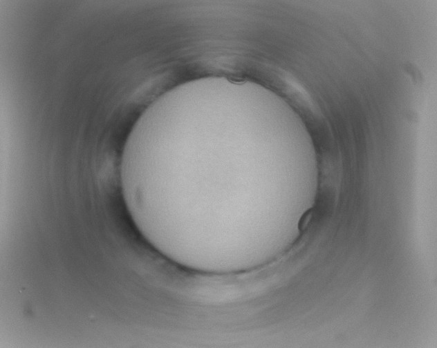 X0000115030029200911231121