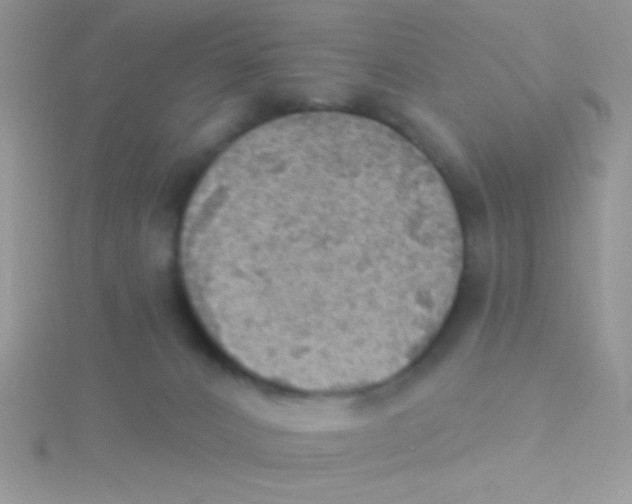 X0000115030032200911231121