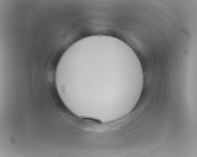 X0000115030033200911231121