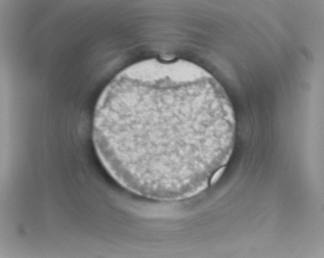 X0000115030036200911231121