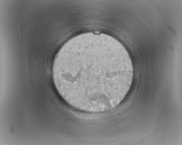 X0000115030040200911231121