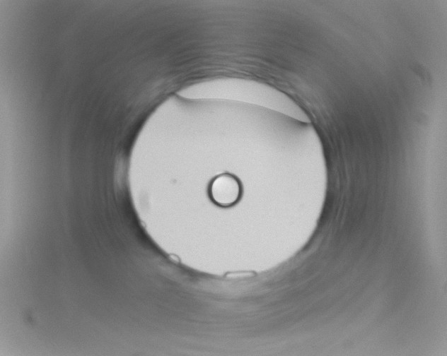 X0000115030041200911231121