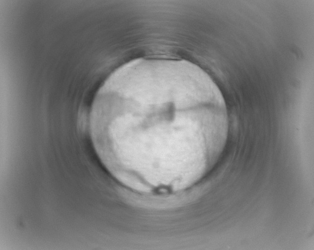 X0000115030042200911231121