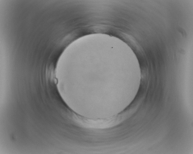 X0000115030046200911231121