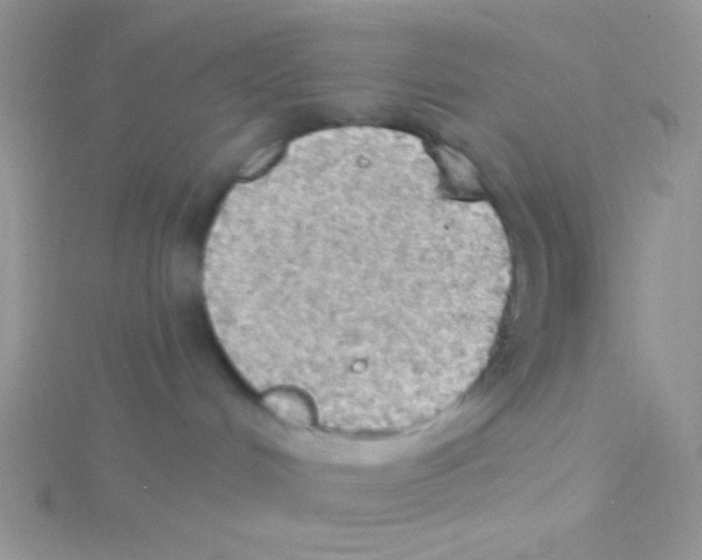 X0000115030048200911231121